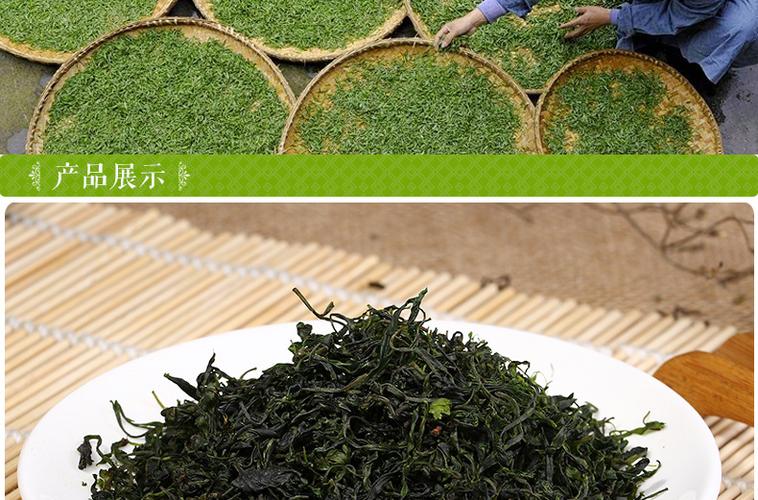 聚茗轩茶叶 青山绿水一级 筠连苦丁茶 厂家直销 优质好茶-绿茶产业网
